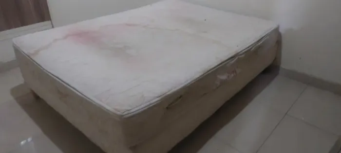 Cama