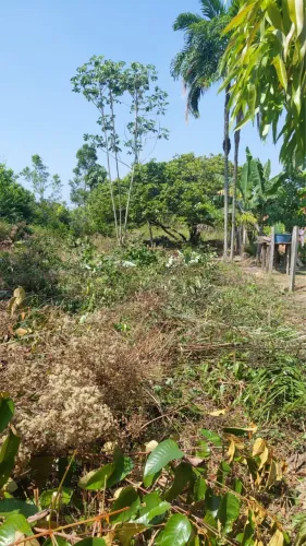 Terreno na Vila do 13