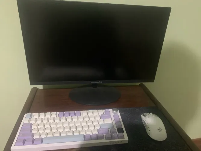 Monitor, mouse e teclado