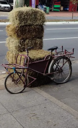Bicicleta cargueira