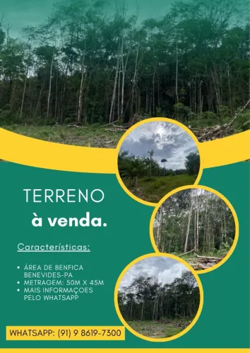 Terreno Área De BENFICA- MURINIM