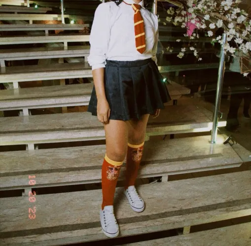 Fantasia Harry Potter NOVA