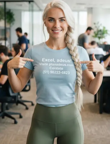 Excel, adeus - sistema acessível CE