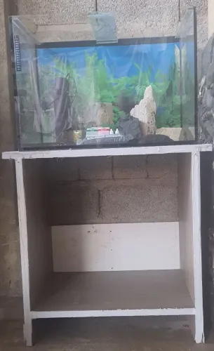 Aquário , vidro , decoração.