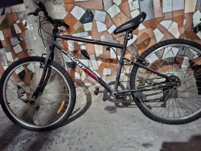 Bicicleta