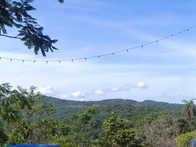 Chácara para comprar Área Rural Caeté