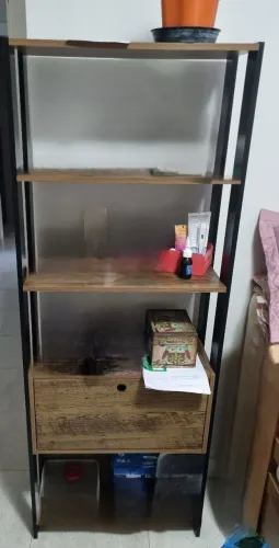 Estante para sala, livros, Match com porta estado de nova