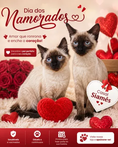 Gato Siamês 