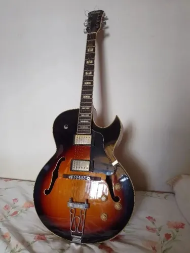 Guitarra Semiacústica Hofma