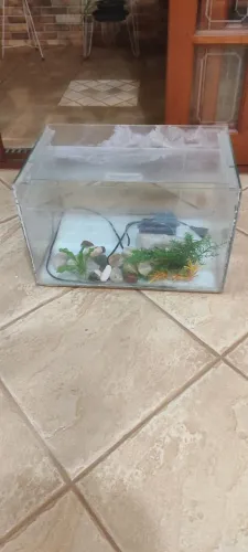 Aquário 43 litros