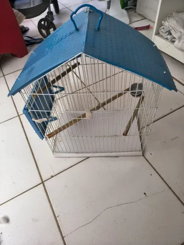 Gaiola de pássaro
