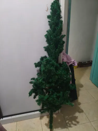 Árvore de natal