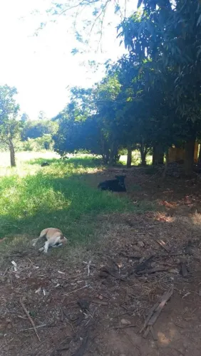 Sítio a venda