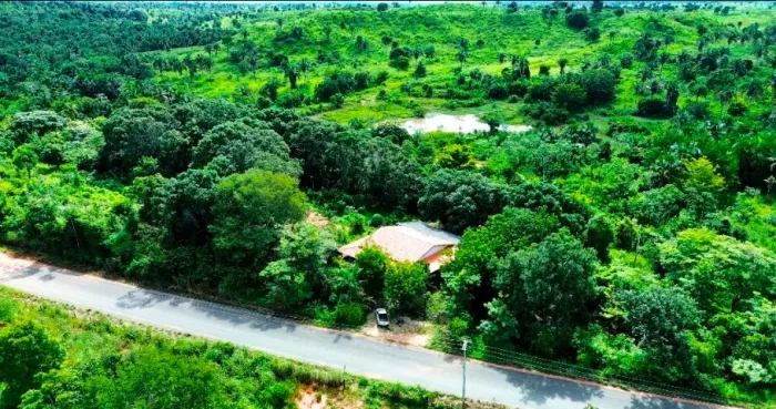 FAZENDA À VENDA - 17,6 ALQUEIRES | BEIRA DA RODOVIA | 27 KM DE IMPERATRIZ/MA  