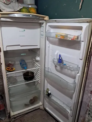 Vendo essa geladeira consul gelo seco
