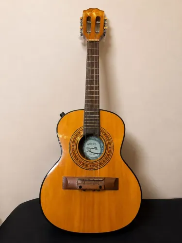 Cavaquinho Nicol novíssimo