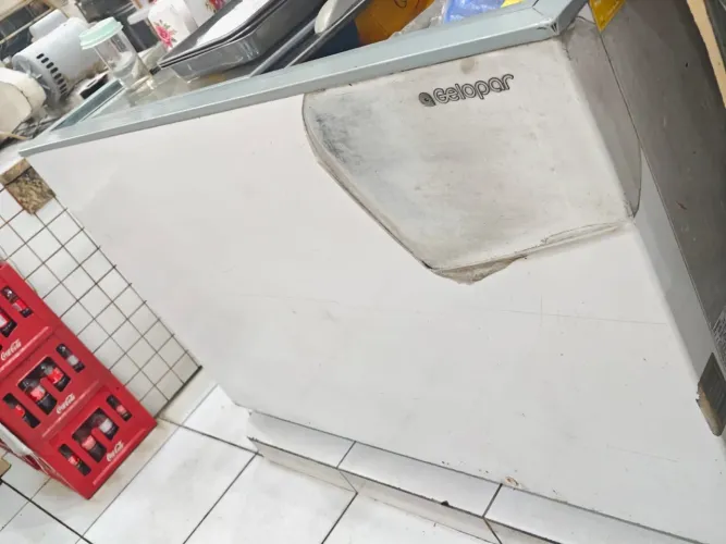 Vendo freezer, mesas pratos e fritadeira elétrica.