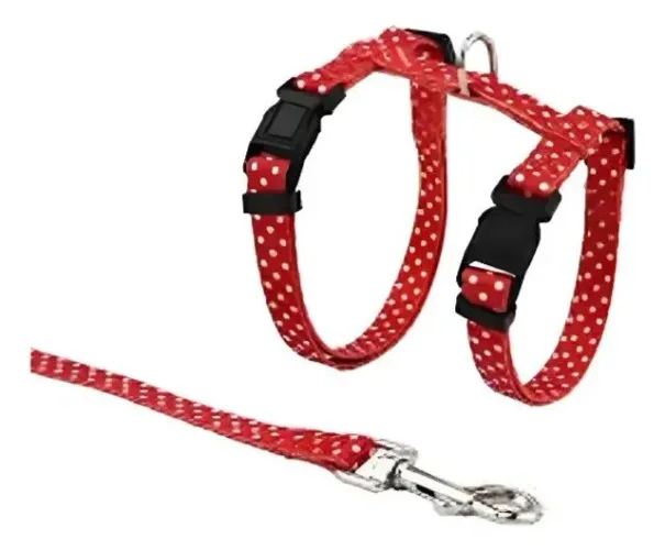 conjunto peitoral nylon gato coltelli