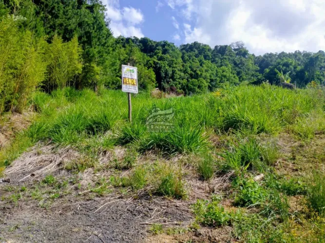 Lote para Venda em Alfredo Wagner, centro