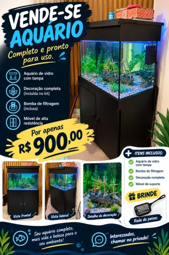 Aquário 