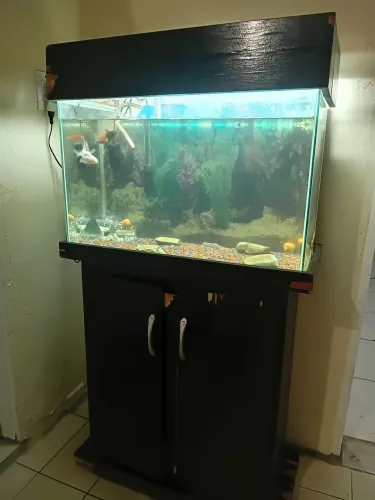 Aquário