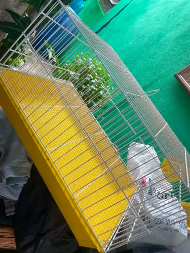 Gaiola para Hamster 