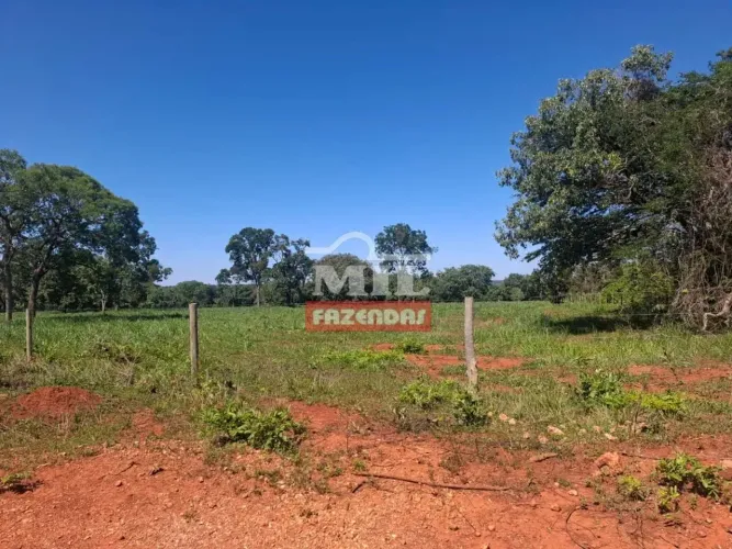 Fazenda 110 alqueires Goianos (536 hectares) Curvelo - MG