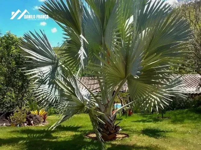 Vende-se excelente chácara com 3.000m² em São João do Jaboti