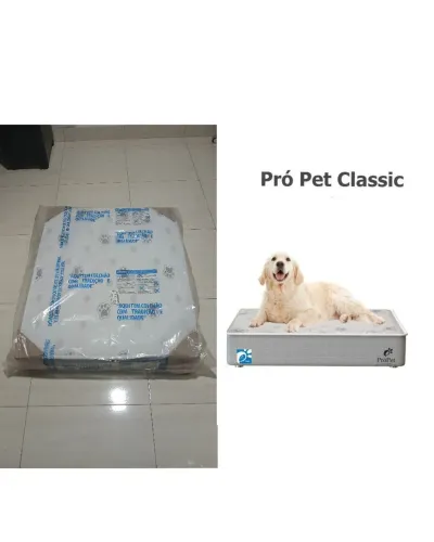 Cama pet