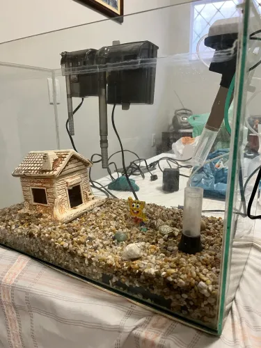 Aquário 45 L Completo