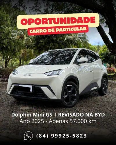 BYD Dolphin Mini (Elétrico) 2025