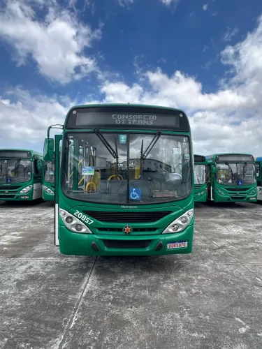 Ônibus Torino VW 2013/2013