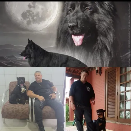 Adestrador de Cães 