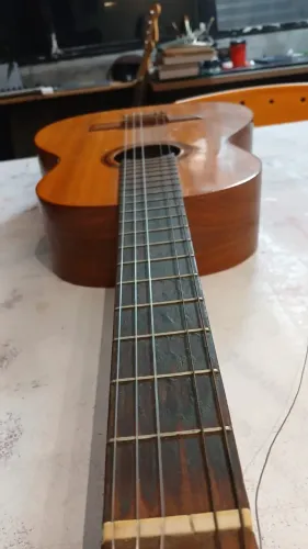 Violão Di Giorgio 16 Signorina