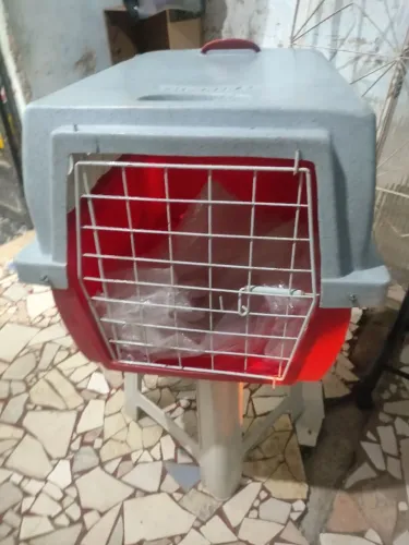 Transporte para cachorro analisamos oferta 