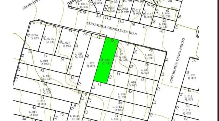 Lote-Área-Terreno para aluguel, Santo Agostinho - Belo Horizonte/MG