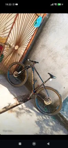 Bike Absolute Wild 2