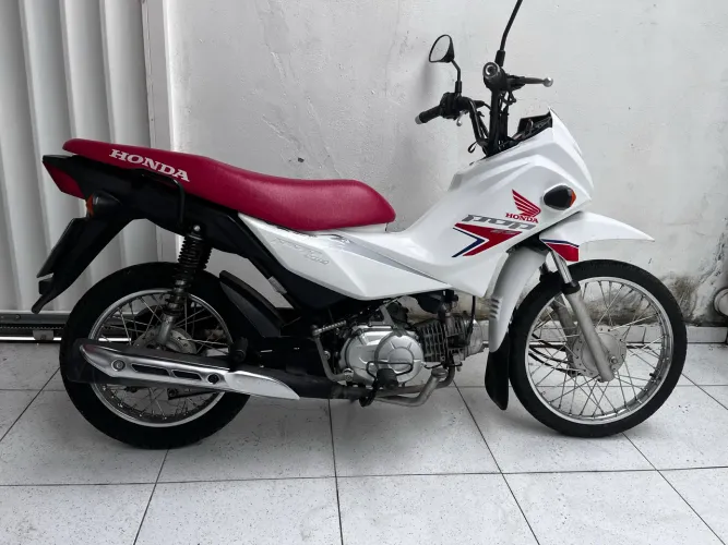Alugo Pop 2024