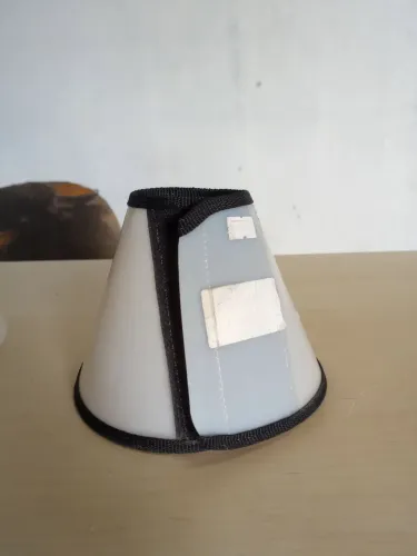 Colar cirúrgico para animal de pequeno porte.