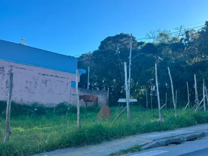TERRENO EM TERRA PRETA (MAIRIPORÃ)
