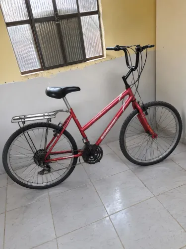 Bicicleta Adulto