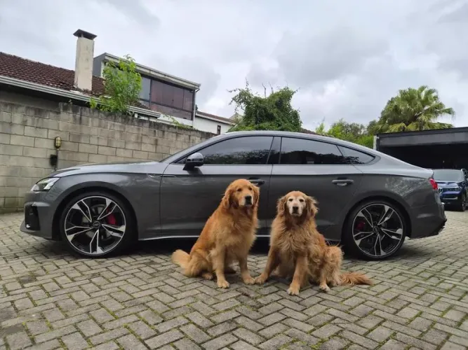 Audi A5 Sportb. S Line 2.0 TFSI Quatt. (híb.) 2025