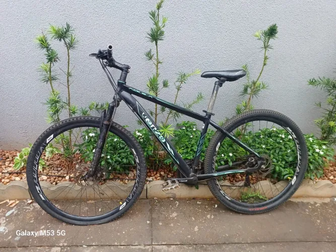 Biscicleta adulto aro 29