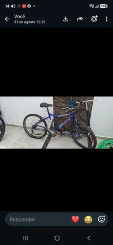 Bicicleta aro 24