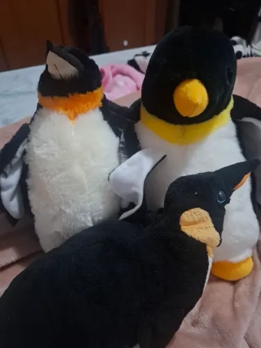 Ursinhos Família Pinguin