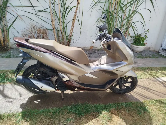 PCX /DLX