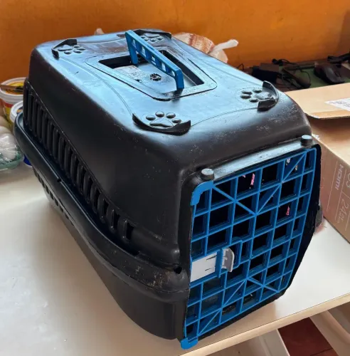 Caixinha de transporte 