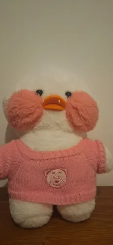 Papel duck