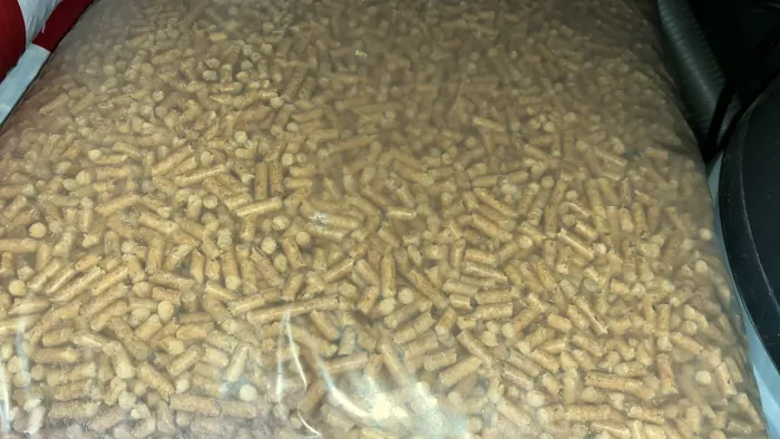 Granulado higiênico para gatos e roedores 