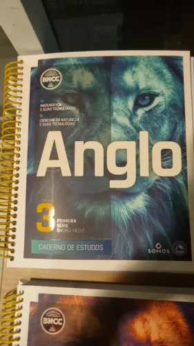 Livros anglo primeiro ano